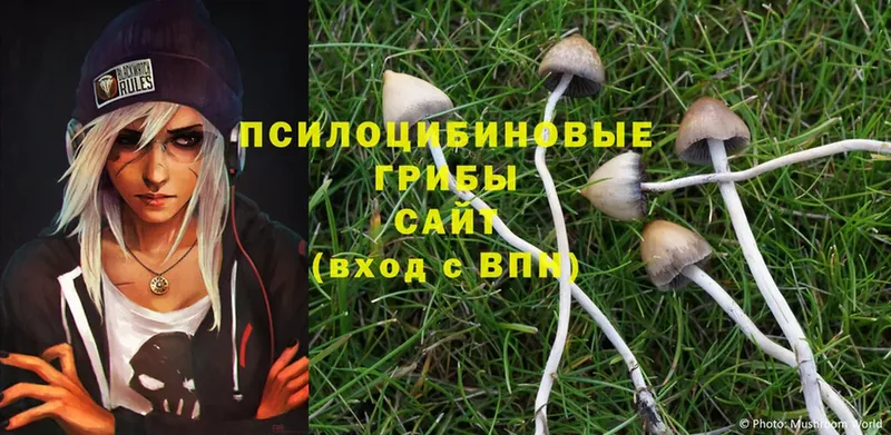 Галлюциногенные грибы Psilocybe  Киренск 